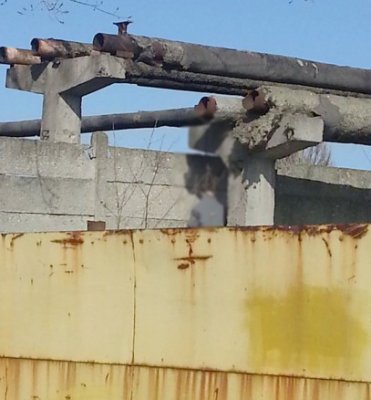 S-a spânzurat în Vinerea Mare; motivul este cutremurător